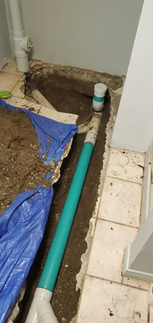 Replacement of underground drainage damaged by tree-root intrusion